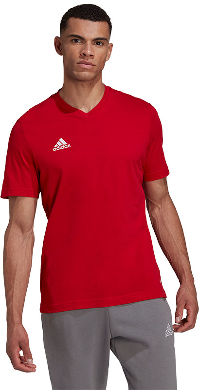adidas Entrada 22 Tee